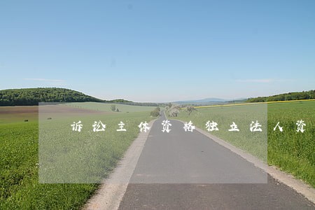 诉讼主体资格独立法人资格 诉讼主体资格独立法人资格