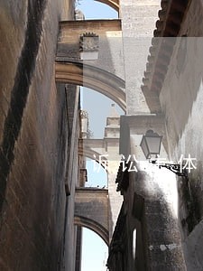 诉讼主体资格能否承接