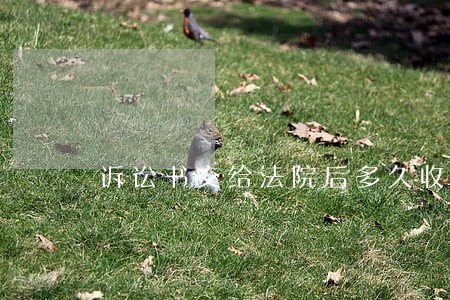 诉讼书交给法院后多久收到信息 诉讼书交给法院后多久收到信息