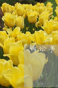 诉讼书以公告形式传达要多久 诉讼书以公告形式传达要多久