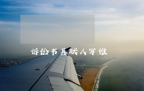 诉讼书具状人写谁