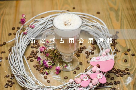诉讼书占用公用道路 诉讼书占用公用道路