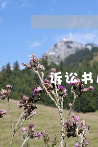 诉讼书房产过户范文 诉讼书房产过户范文