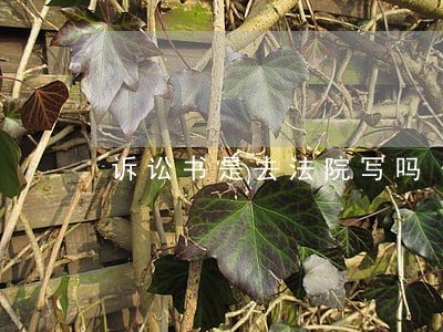 诉讼书是去法院写吗 诉讼书是去法院写吗
