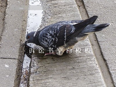 诉讼书空白模板 诉讼书空白模板