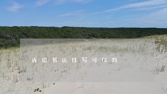 诉讼书这样写可以吗 诉讼书这样写可以吗