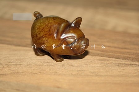 诉讼书重点写什么 诉讼书重点写什么