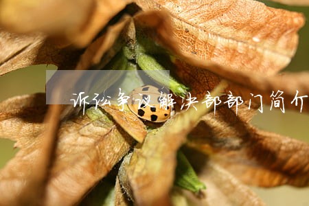 诉讼争议解决部部门简介