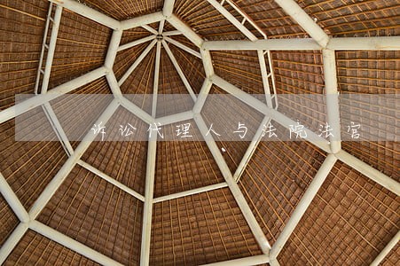 诉讼代理人与法院法官 诉讼代理人与法院法官