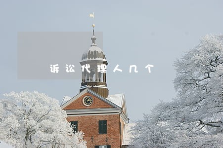 诉讼代理人几个