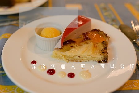 诉讼代理人可以可以公证吗