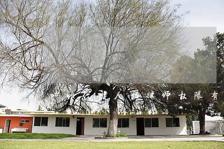 诉讼代理人和律师权限有什么不同 诉讼代理人和律师权限有什么不同