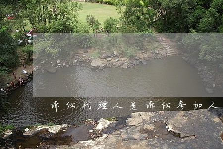 诉讼代理人是诉讼参加人吗 诉讼代理人是诉讼参加人吗