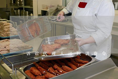 诉讼代理人法院调查令