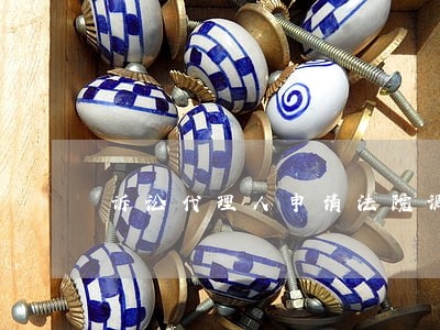 诉讼代理人申请法院调查收集证据