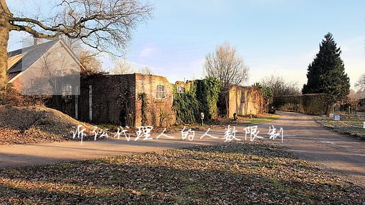 诉讼代理人的人数限制 诉讼代理人的人数限制