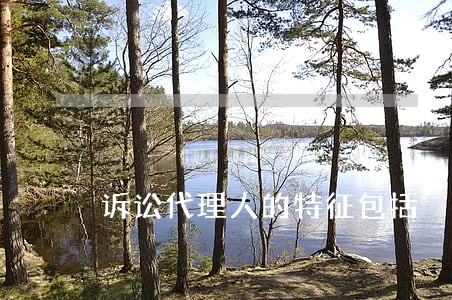 诉讼代理人的特征包括 诉讼代理人的特征包括
