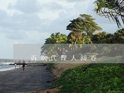 诉讼代理人阅卷 诉讼代理人阅卷