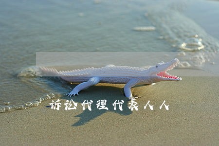 诉讼代理代表人人 诉讼代理代表人人
