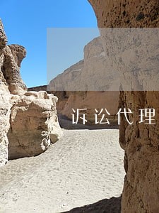 诉讼代理准备资料 诉讼代理准备资料