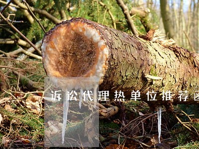 诉讼代理热单位推荐函
