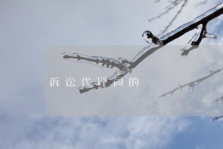 诉讼代理词的 诉讼代理词的