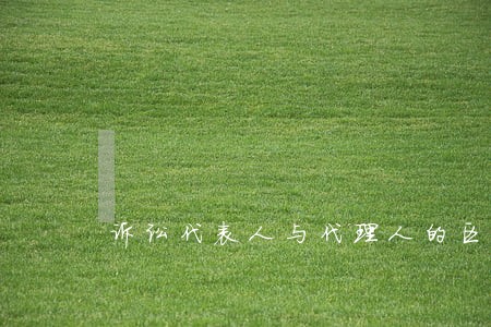 诉讼代表人与代理人的区别