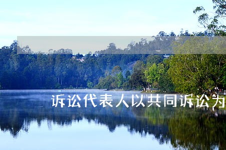 诉讼代表人以共同诉讼为基础 诉讼代表人以共同诉讼为基础