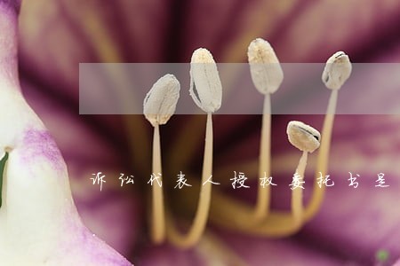 诉讼代表人授权委托书是怎样的 诉讼代表人授权委托书是怎样的