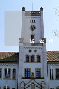 诉讼代表人数