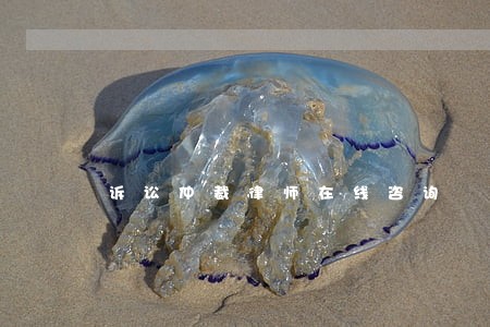 诉讼仲裁律师在线咨询