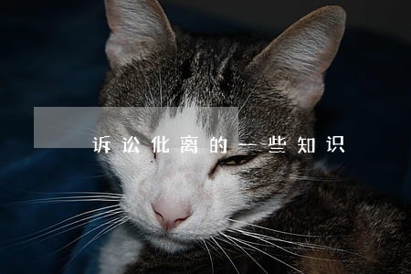 诉讼仳离的一些知识 诉讼仳离的一些知识