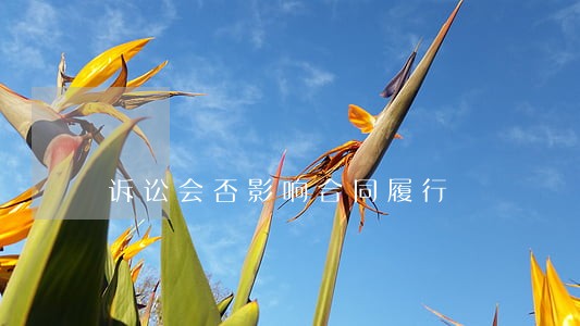 诉讼会否影响合同履行 诉讼会否影响合同履行
