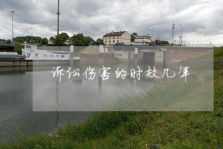 诉讼伤害的时效几年 诉讼伤害的时效几年
