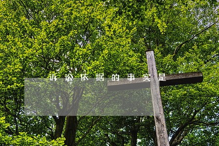 诉讼依据的事实是 诉讼依据的事实是
