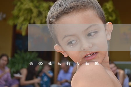 诉讼侵权行为初探 诉讼侵权行为初探