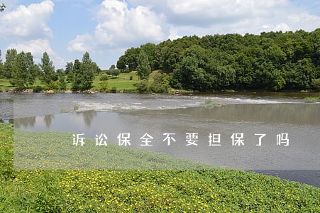 诉讼保全不要担保了吗 诉讼保全不要担保了吗