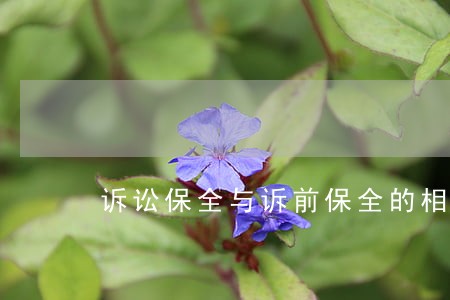 诉讼保全与诉前保全的相同 诉讼保全与诉前保全的相同