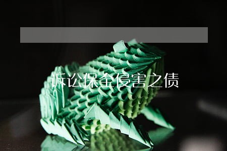 诉讼保全侵害之债 诉讼保全侵害之债