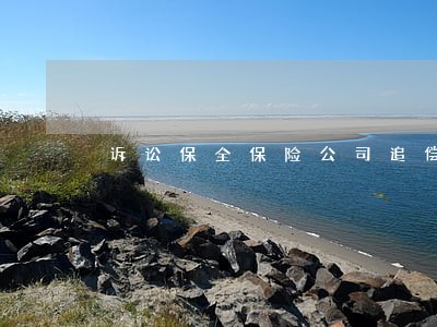 诉讼保全保险公司追偿损失 诉讼保全保险公司追偿损失