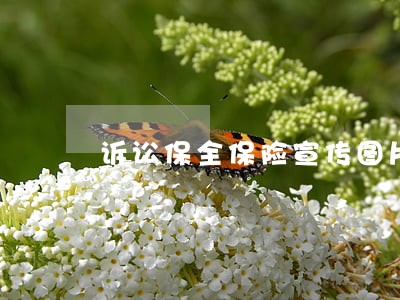 诉讼保全保险宣传图片 诉讼保全保险宣传图片