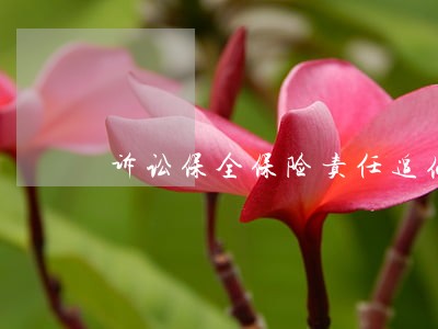 诉讼保全保险责任追偿