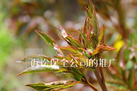诉讼保全公司的推广 诉讼保全公司的推广