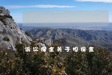 诉讼保全关于担保金 诉讼保全关于担保金