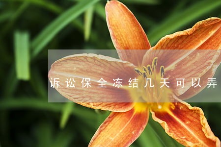 诉讼保全冻结几天可以弄好 诉讼保全冻结几天可以弄好