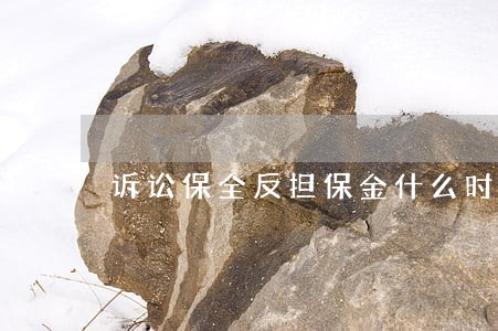 诉讼保全反担保金什么时候退 诉讼保全反担保金什么时候退