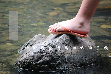 诉讼保全变更担保物申请 诉讼保全变更担保物申请