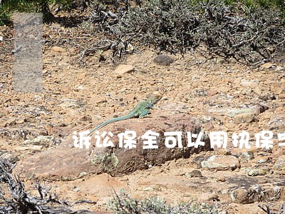 诉讼保全可以用执保字号 诉讼保全可以用执保字号