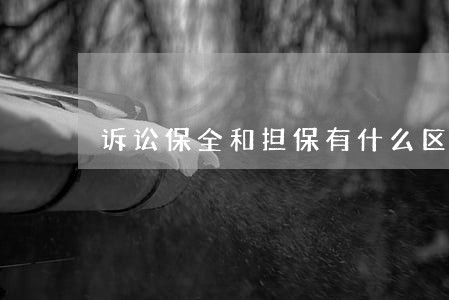 诉讼保全和担保有什么区别