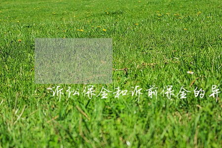 诉讼保全和诉前保全的异同 诉讼保全和诉前保全的异同